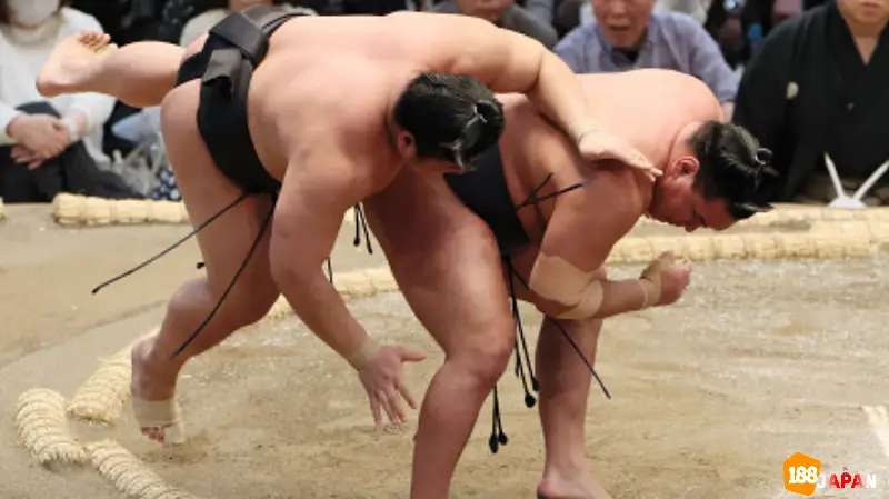 豊昇龍