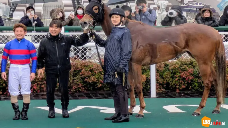 米子キャッスルS